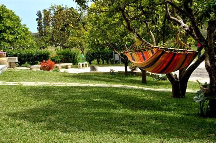 B&B Piccolo Vigneto photo 2