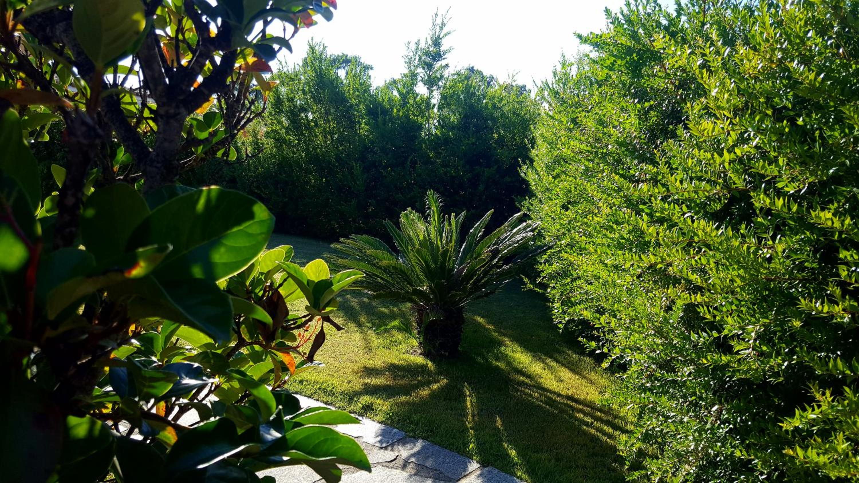 Casa i Falchi photo 4