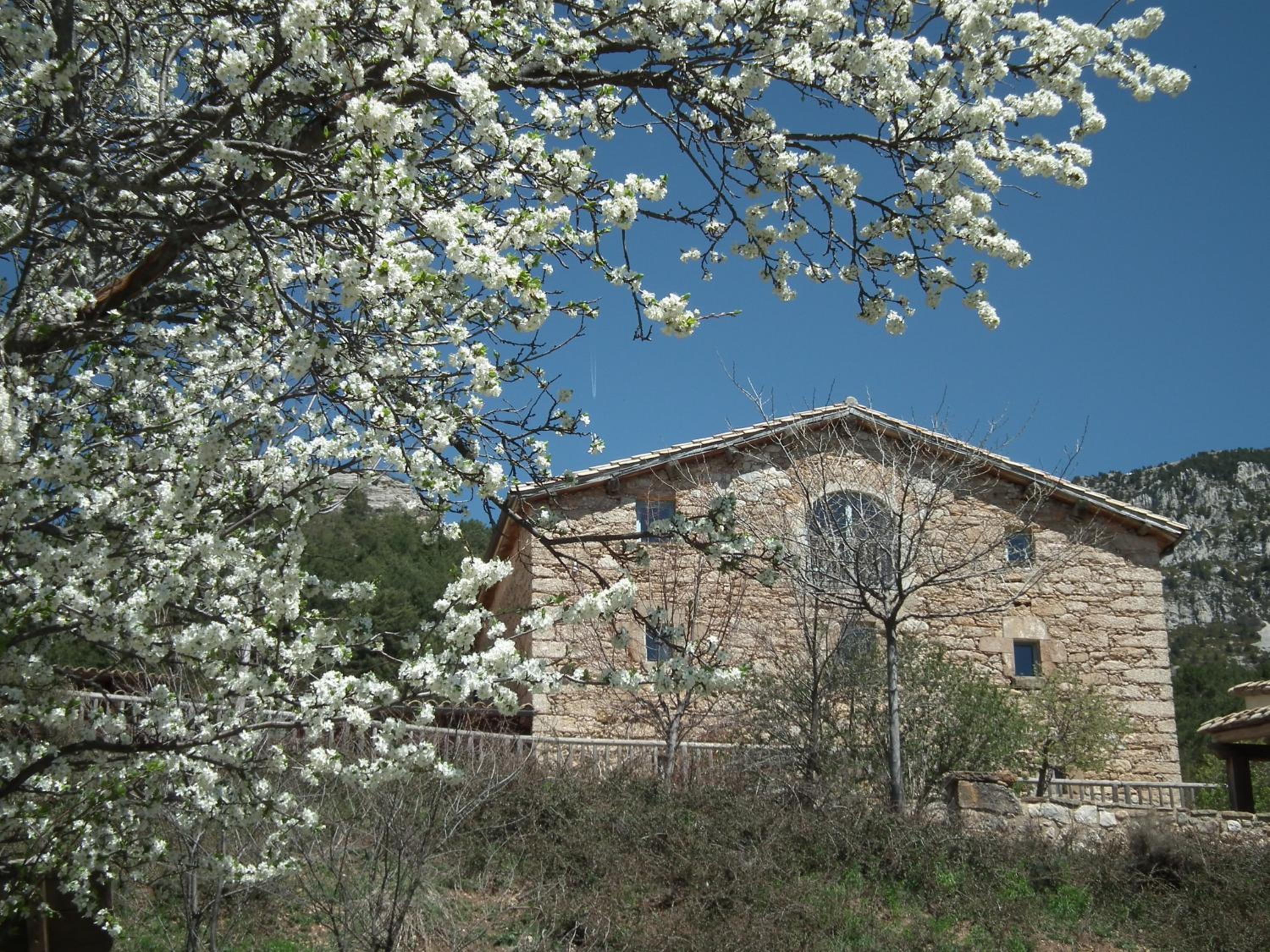 Poble Rural Puig Arnau - Pubilló view 4
