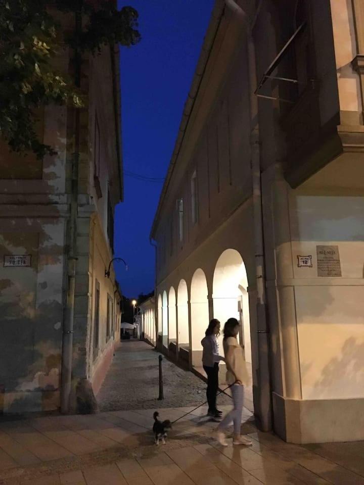 Árkádia Apartman