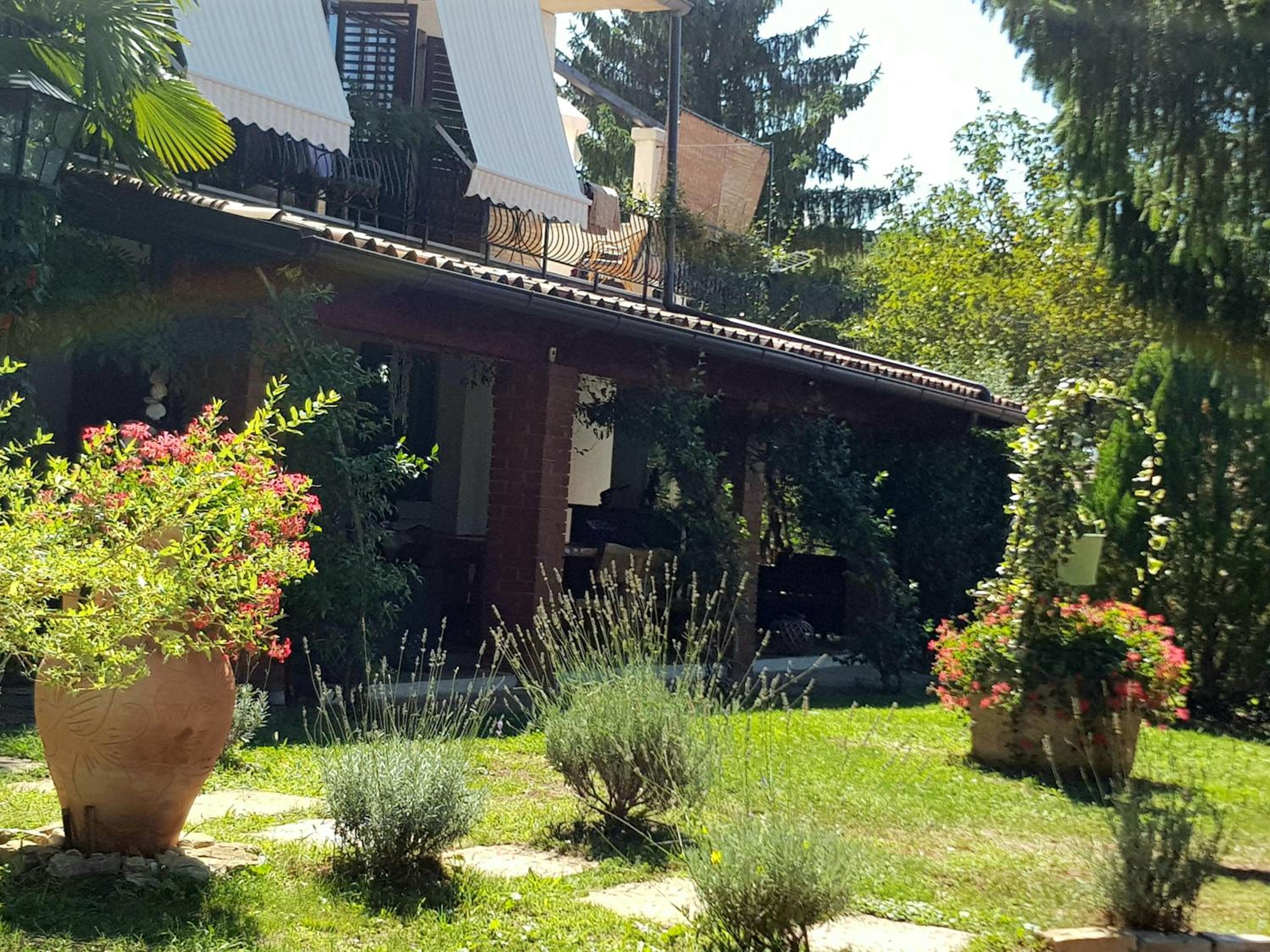 Villa Palma Karojba view 3