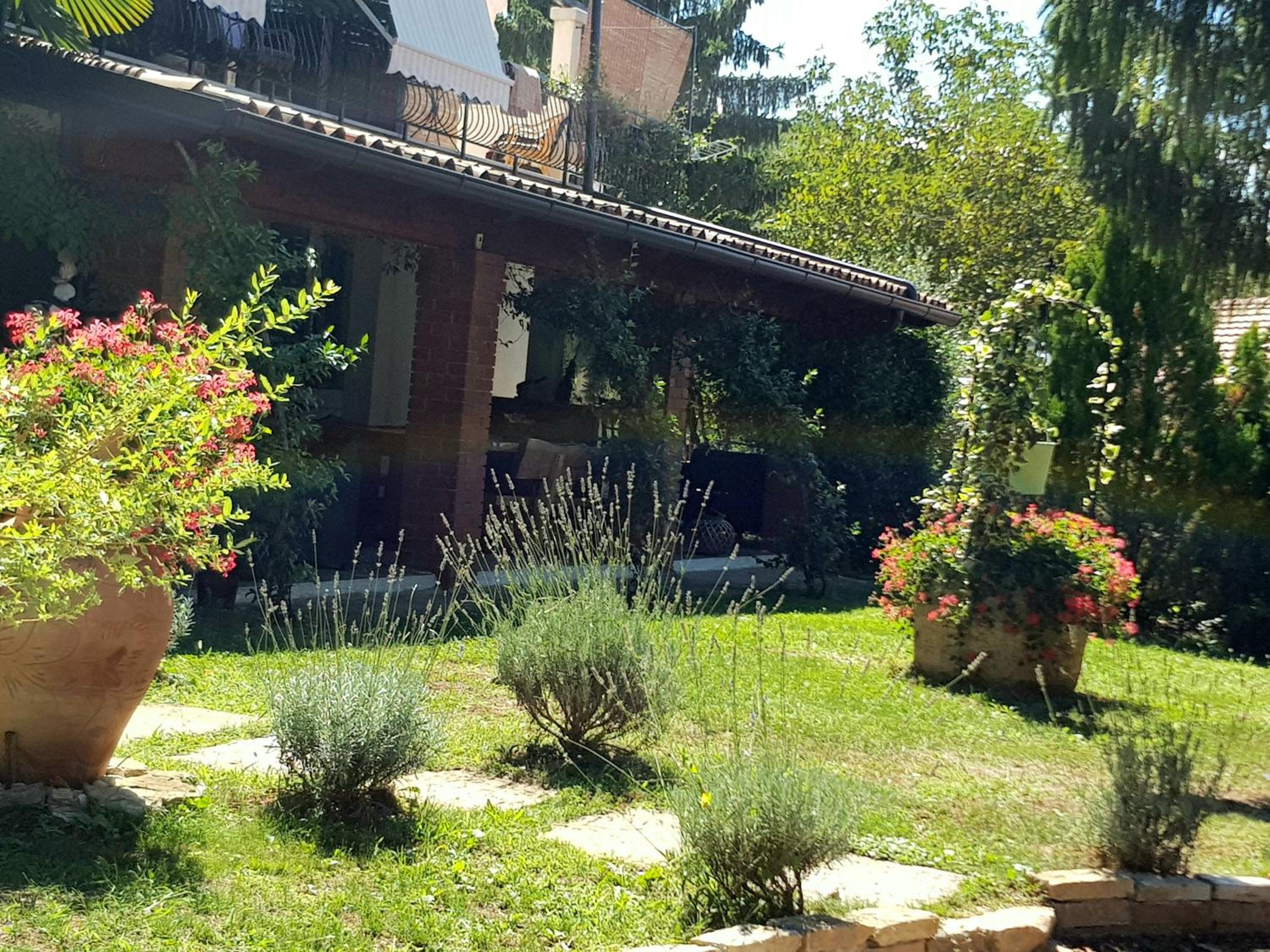 Photo 42