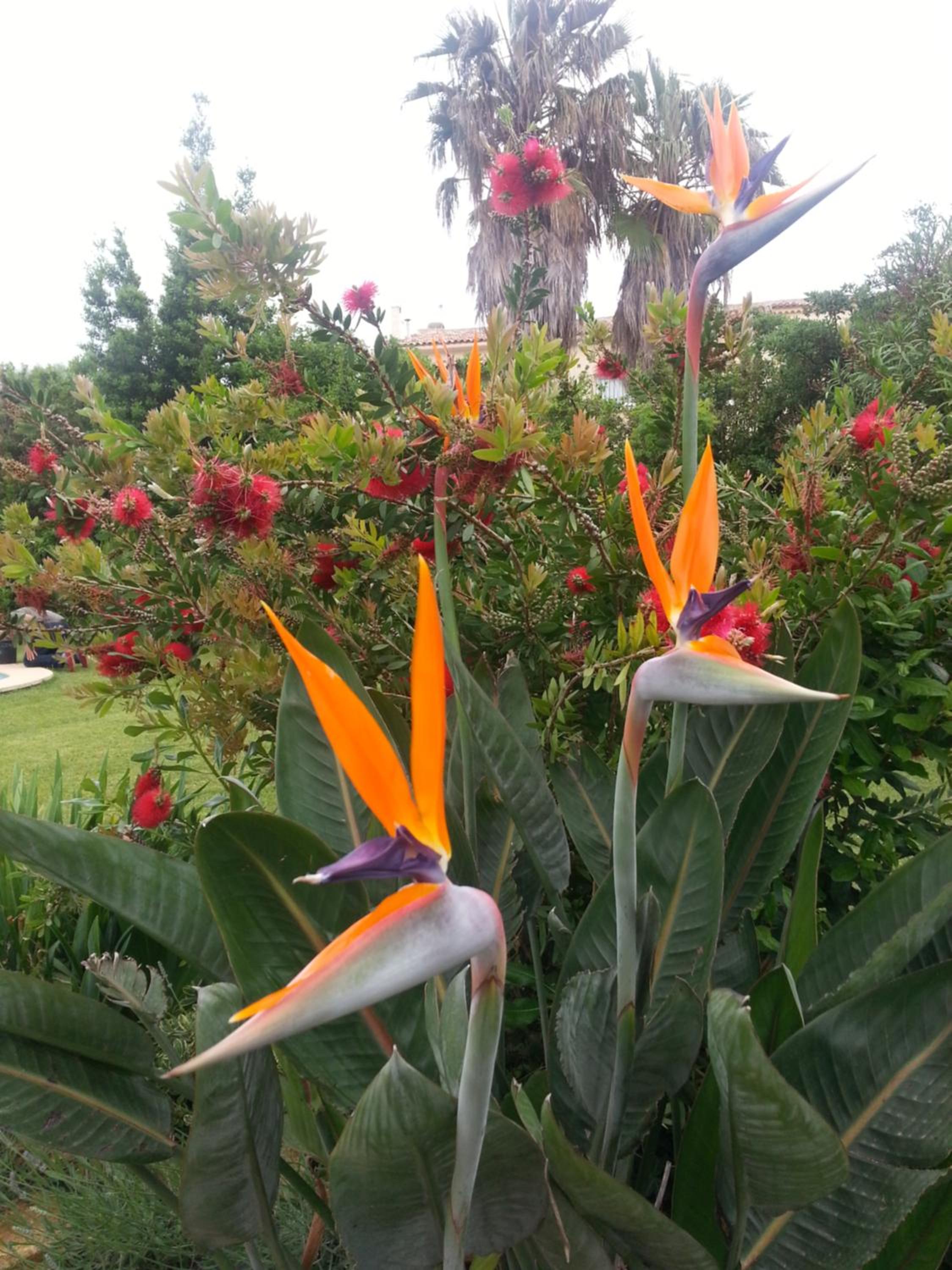 Photo 41