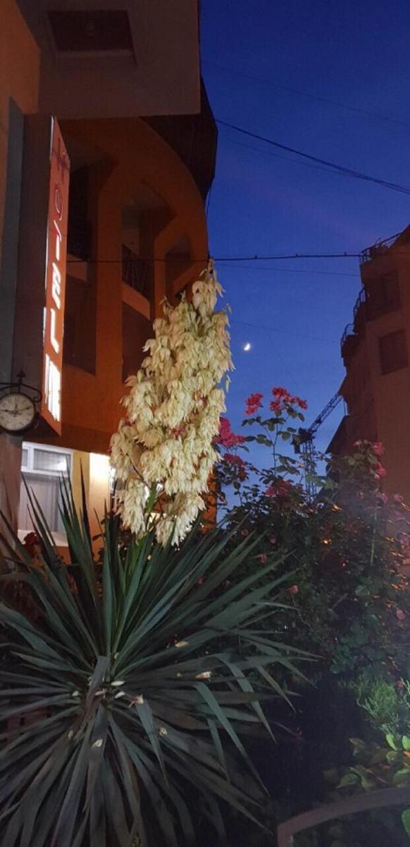 Vake Boutique Hotel