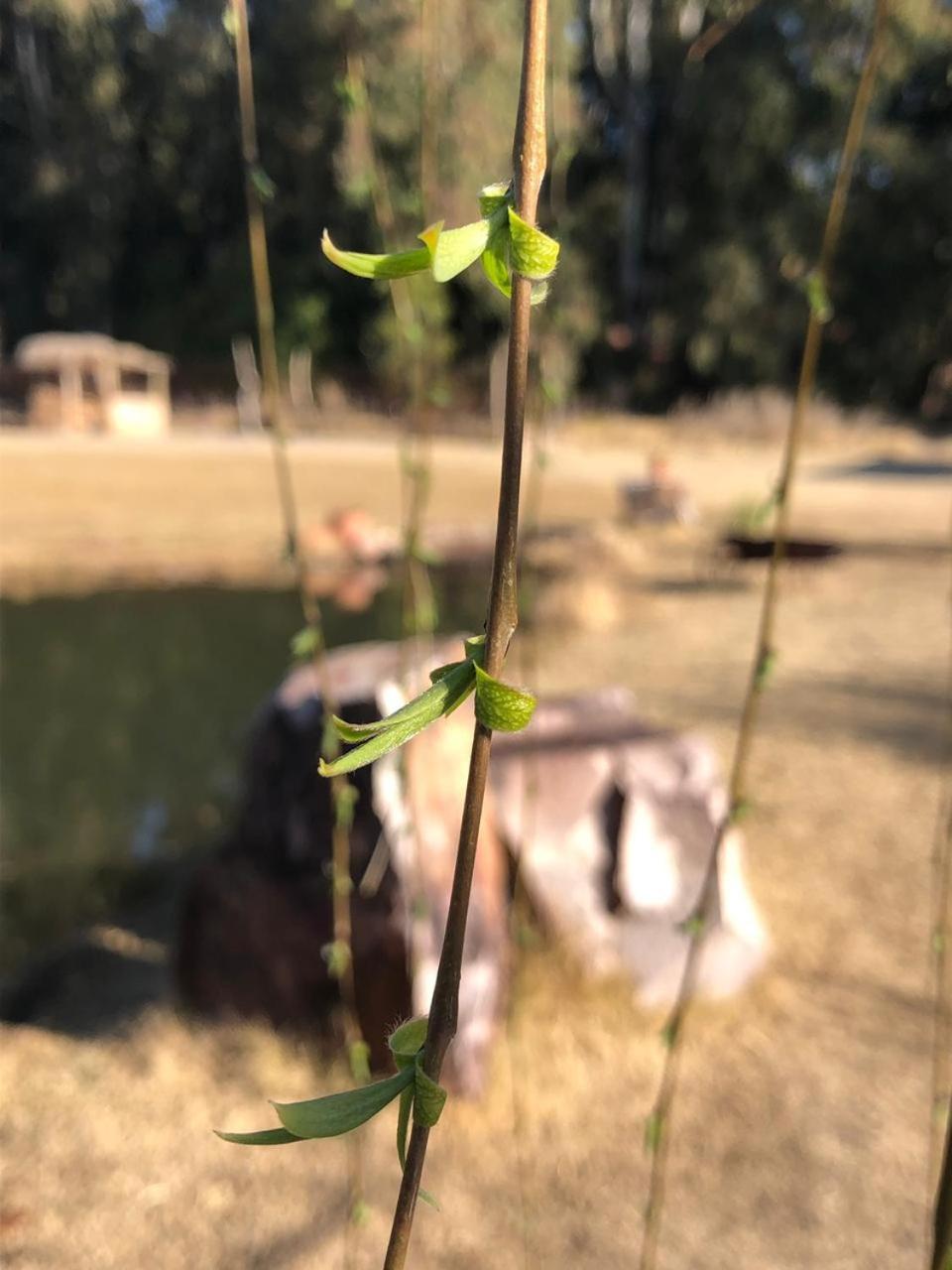 Para los amantes de la naturaleza