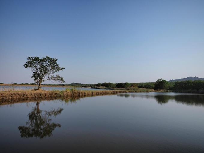 Hazyview Vacations - Poinsettia family Cottage - Property Image 9