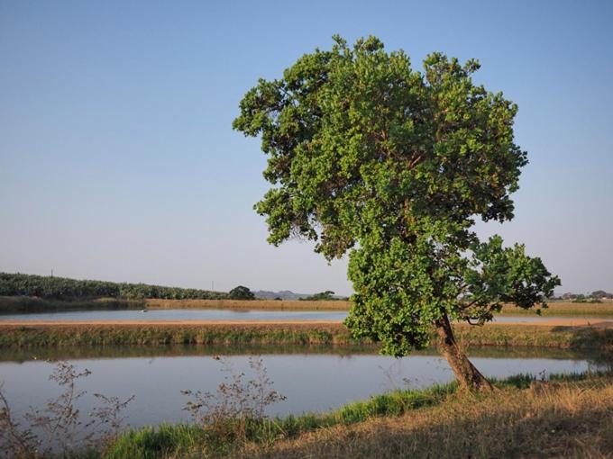 Hazyview Vacations - Poinsettia family Cottage - Property Image 57