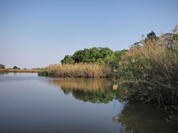 Hazyview Vacations - Poinsettia family Cottage - Property Image 5