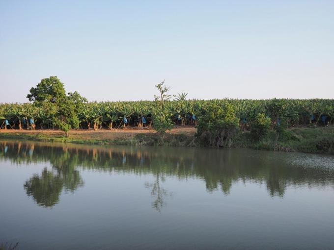 Hazyview Vacations - Poinsettia family Cottage - Property Image 4