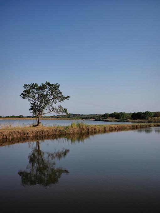 Hazyview Vacations - Poinsettia family Cottage - Property Image 19