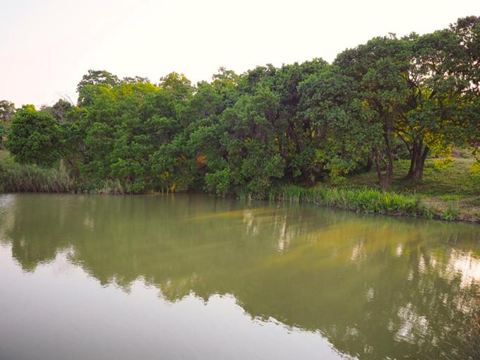 Hazyview Vacations - Poinsettia family Cottage - Property Image 20