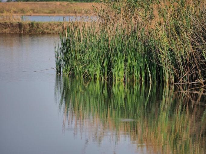 Hazyview Vacations - Poinsettia family Cottage - Property Image 24