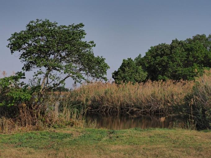 Hazyview Vacations - Poinsettia family Cottage - Property Image 25