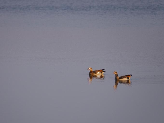 Hazyview Vacations - Poinsettia family Cottage - Property Image 27