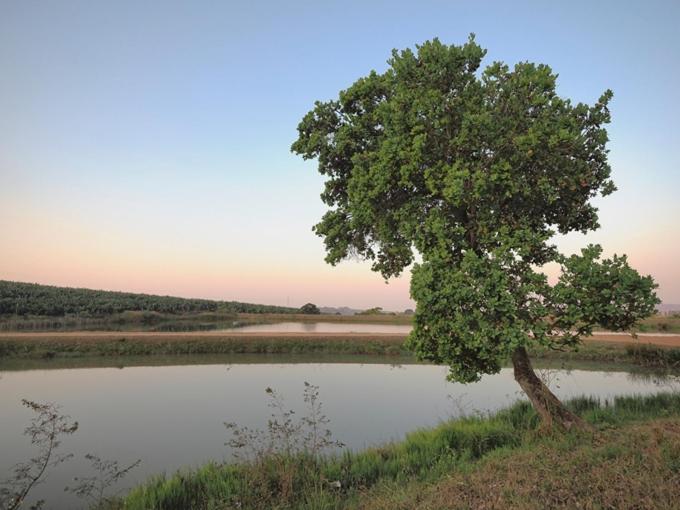 Hazyview Vacations - Poinsettia family Cottage - Property Image 28