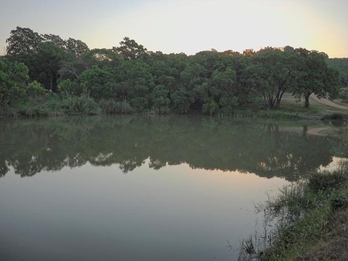 Hazyview Vacations - Poinsettia family Cottage - Property Image 29