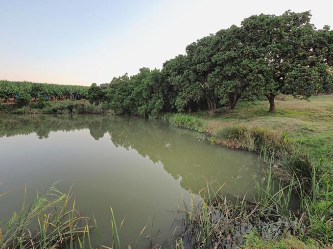 Hazyview Vacations - Poinsettia family Cottage - Property Image 31