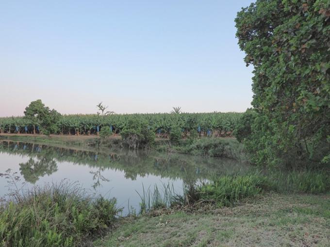 Hazyview Vacations - Poinsettia family Cottage - Property Image 33