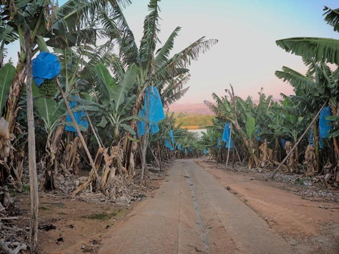 Hazyview Vacations - Poinsettia family Cottage - Property Image 60