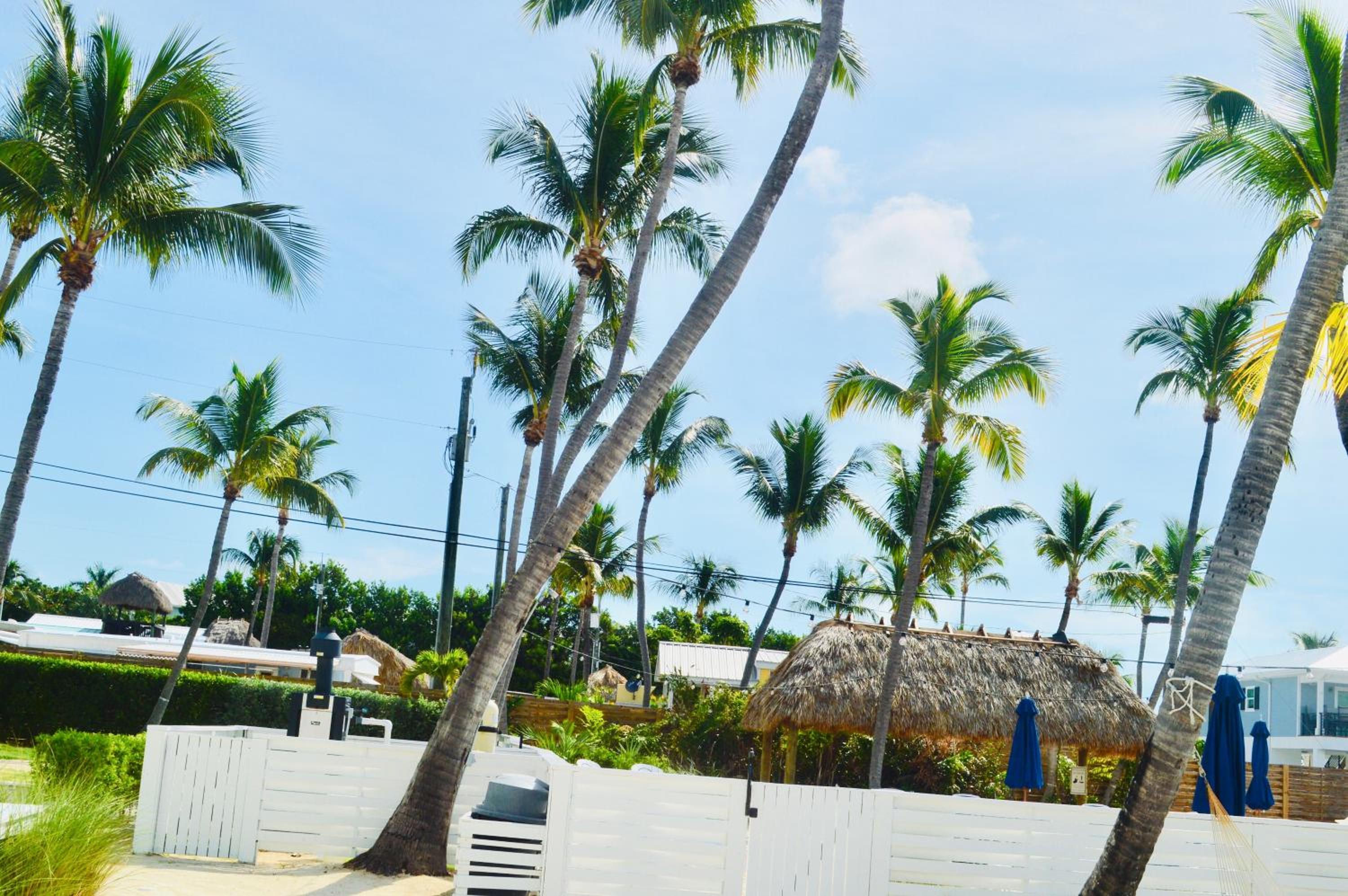 Drop Anchor Resort & Marina, Billede 14