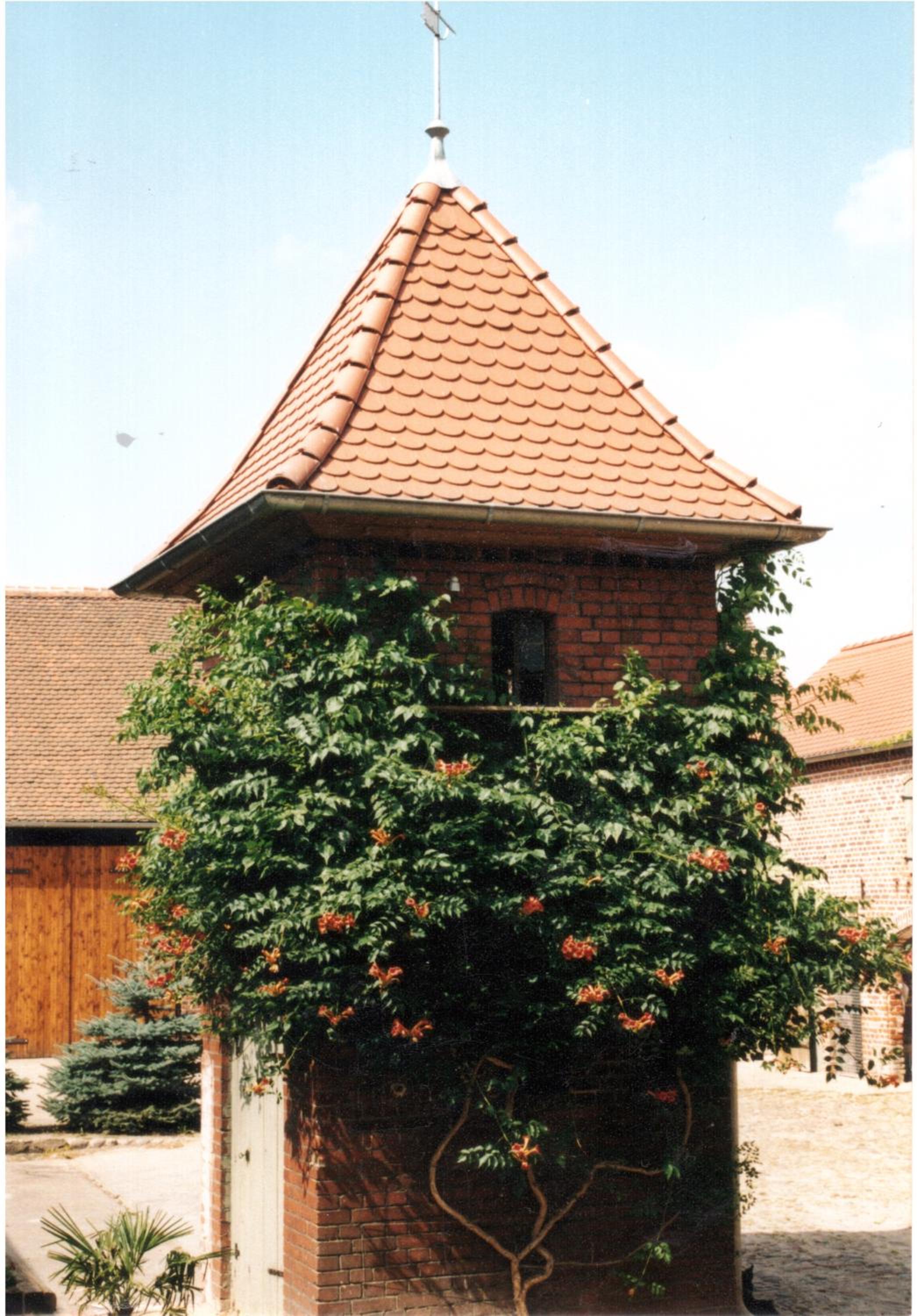 Photo 44