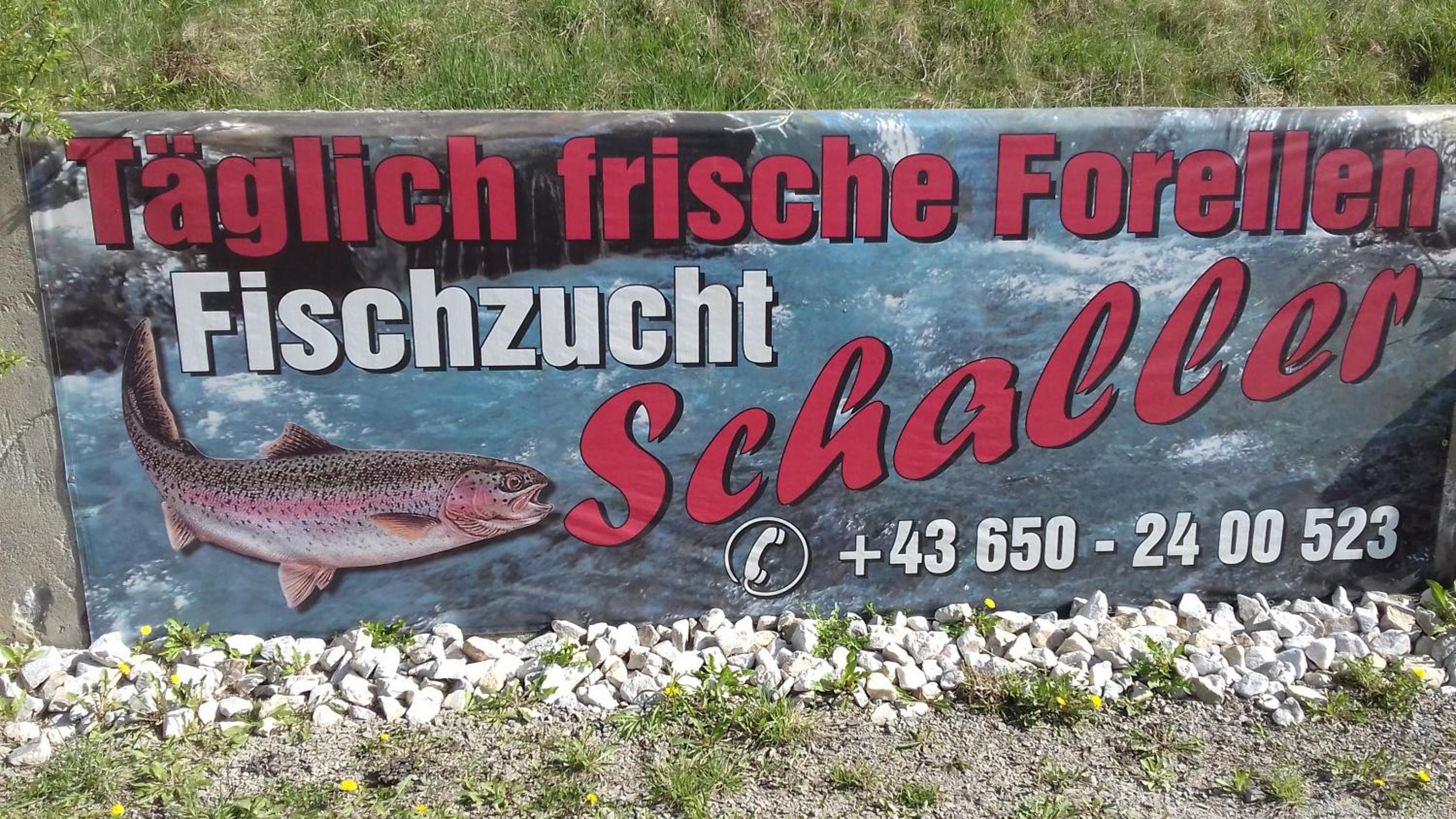 Ferienwohnung Schaller