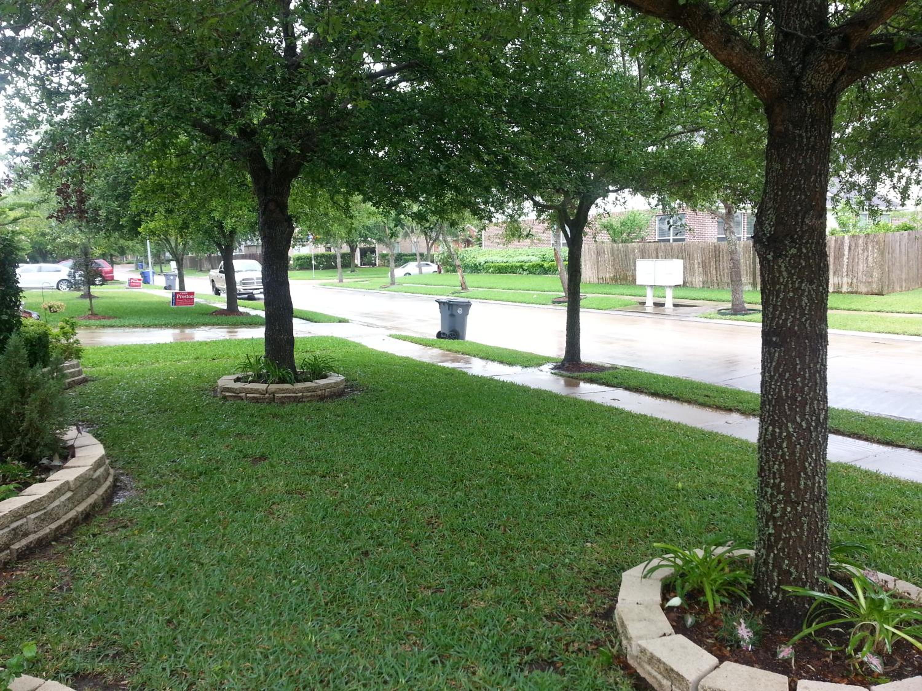 Large Modern accomodation close to NRG, Medical Center, Galleria MD Anderson, St Luke view 3