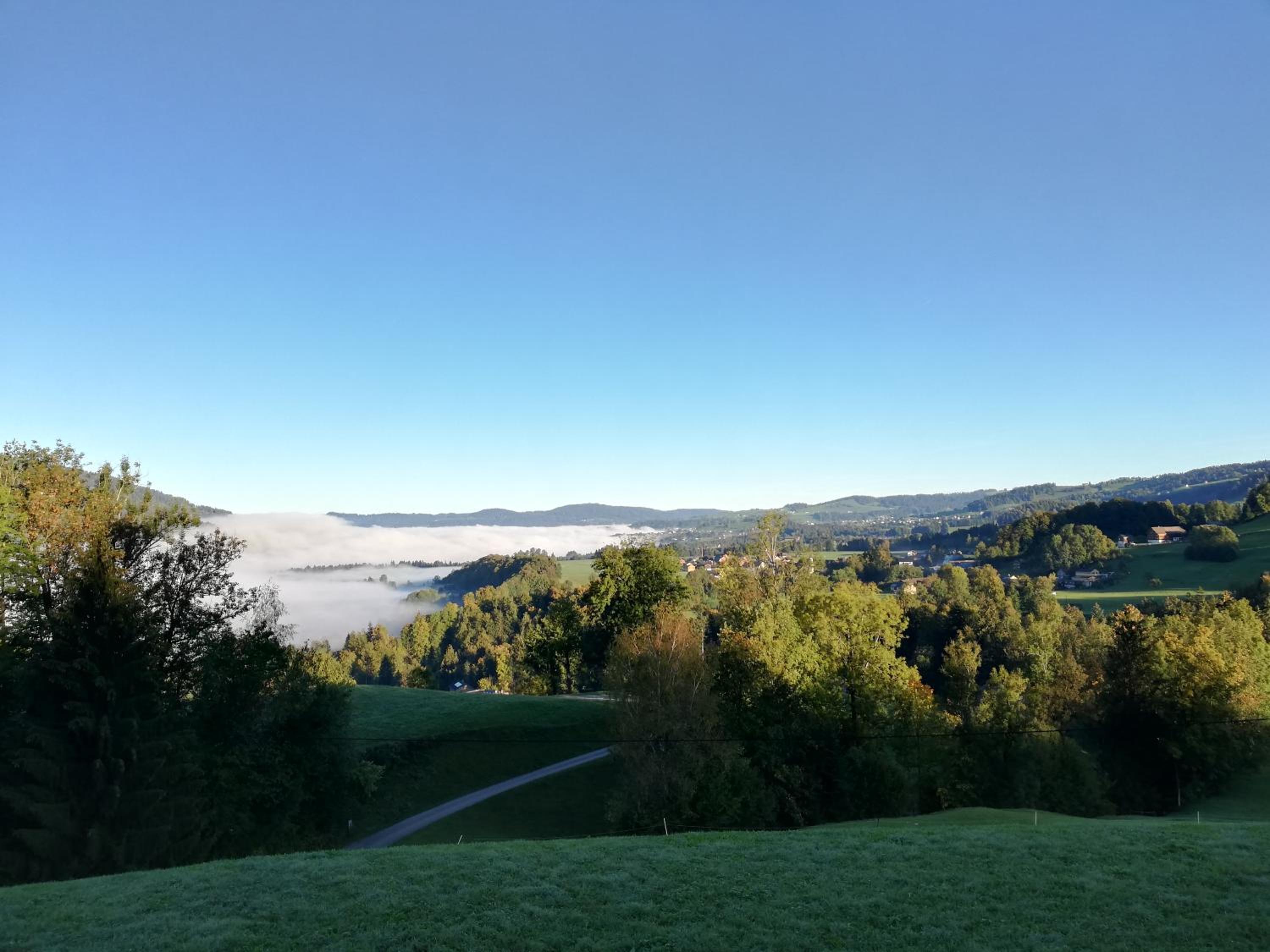 Ausblickhof Ferienwohnung en Egg