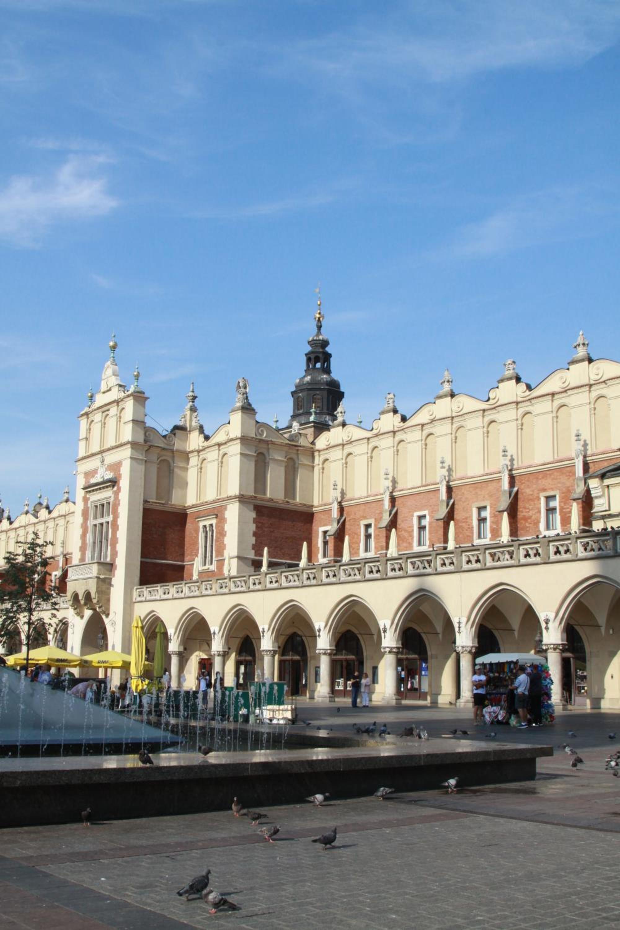 ap4you Tauron Cracow