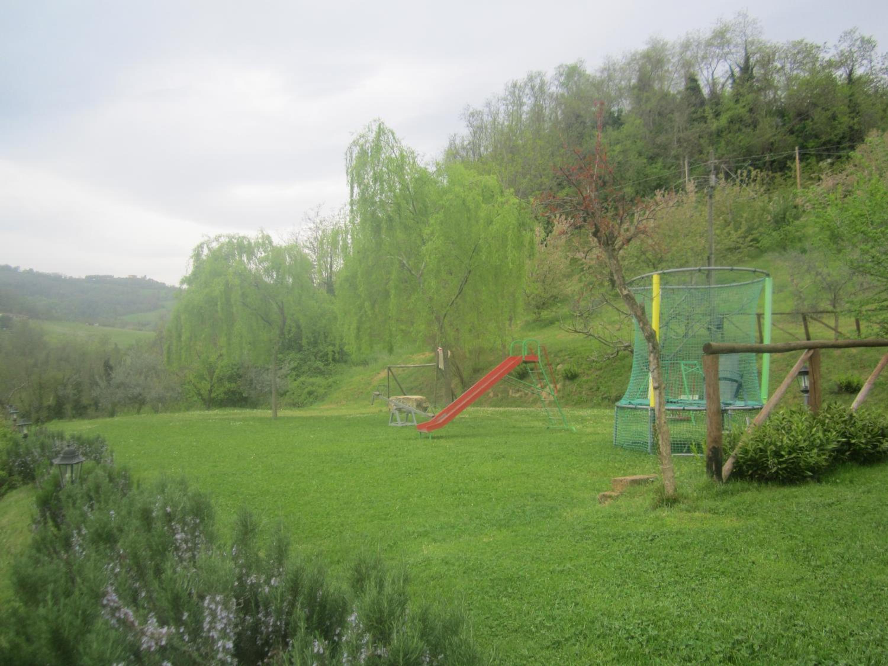 Photo 43