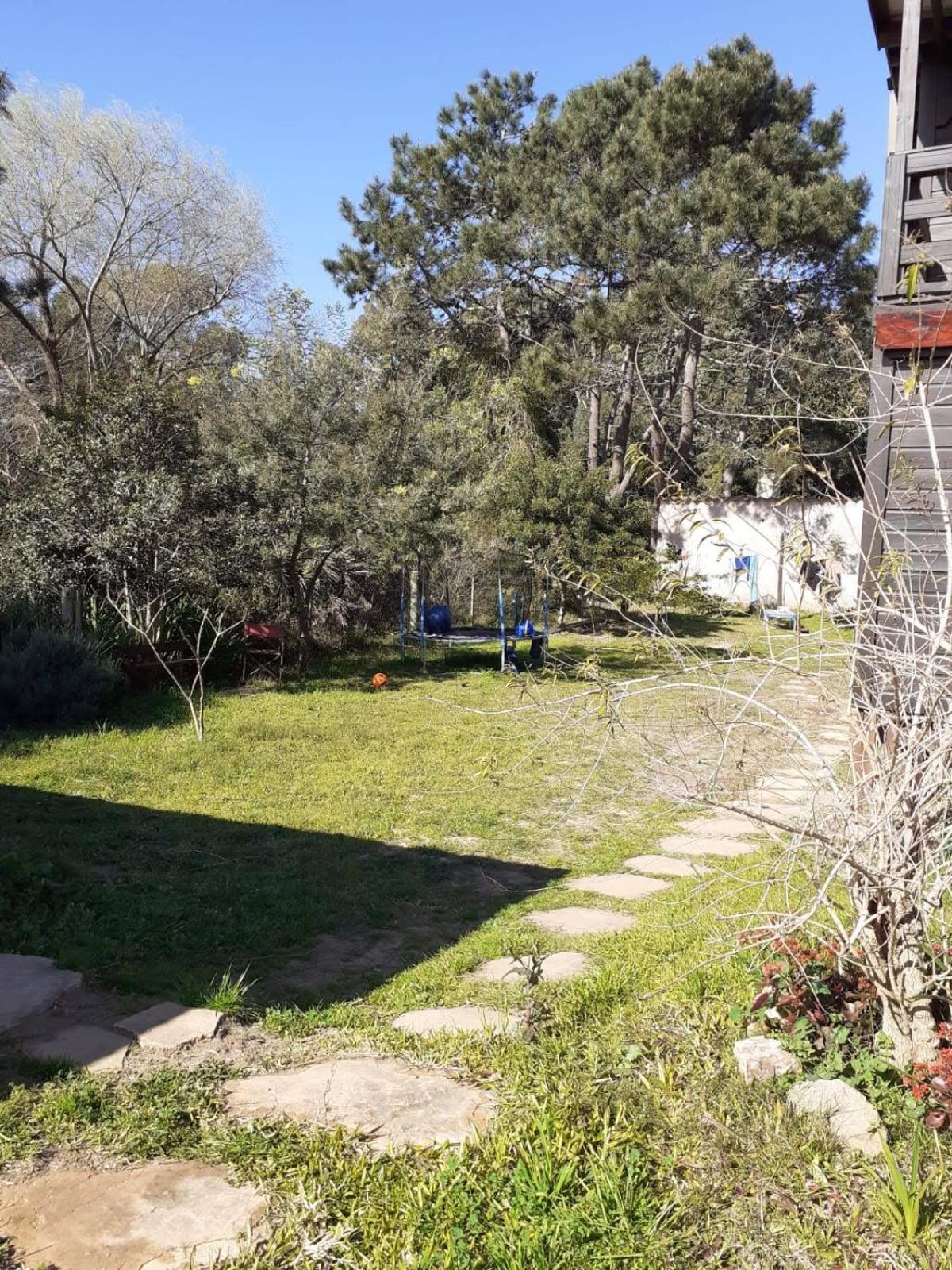 Metamorfosis Aguada view 3
