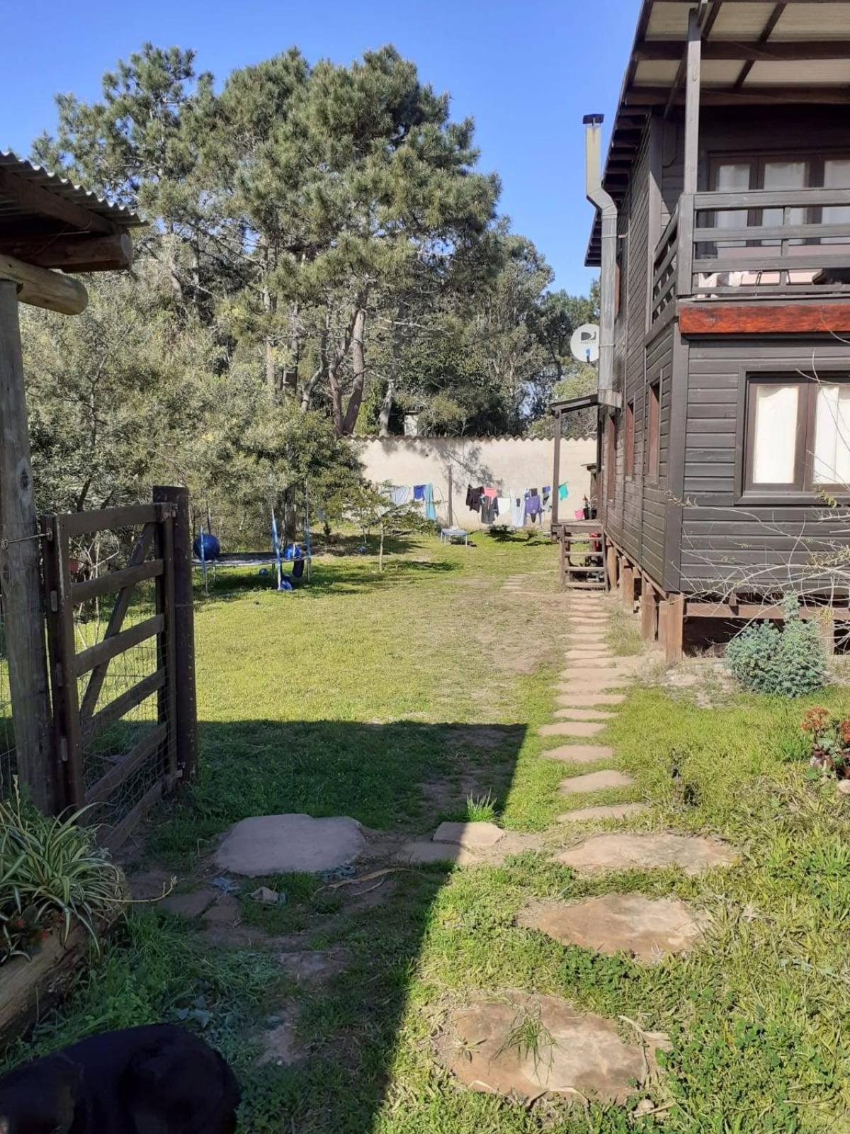 Metamorfosis Aguada view 4