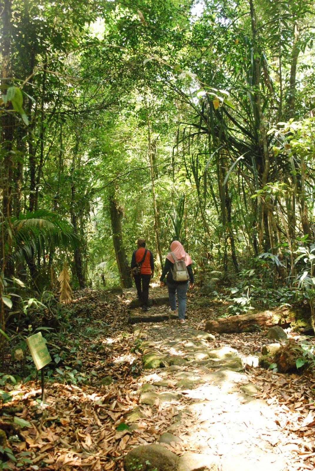 Wildan Homestay