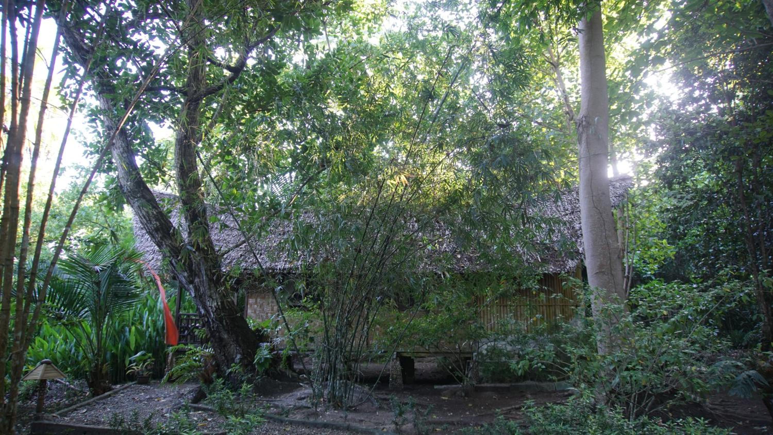 Photo 7
