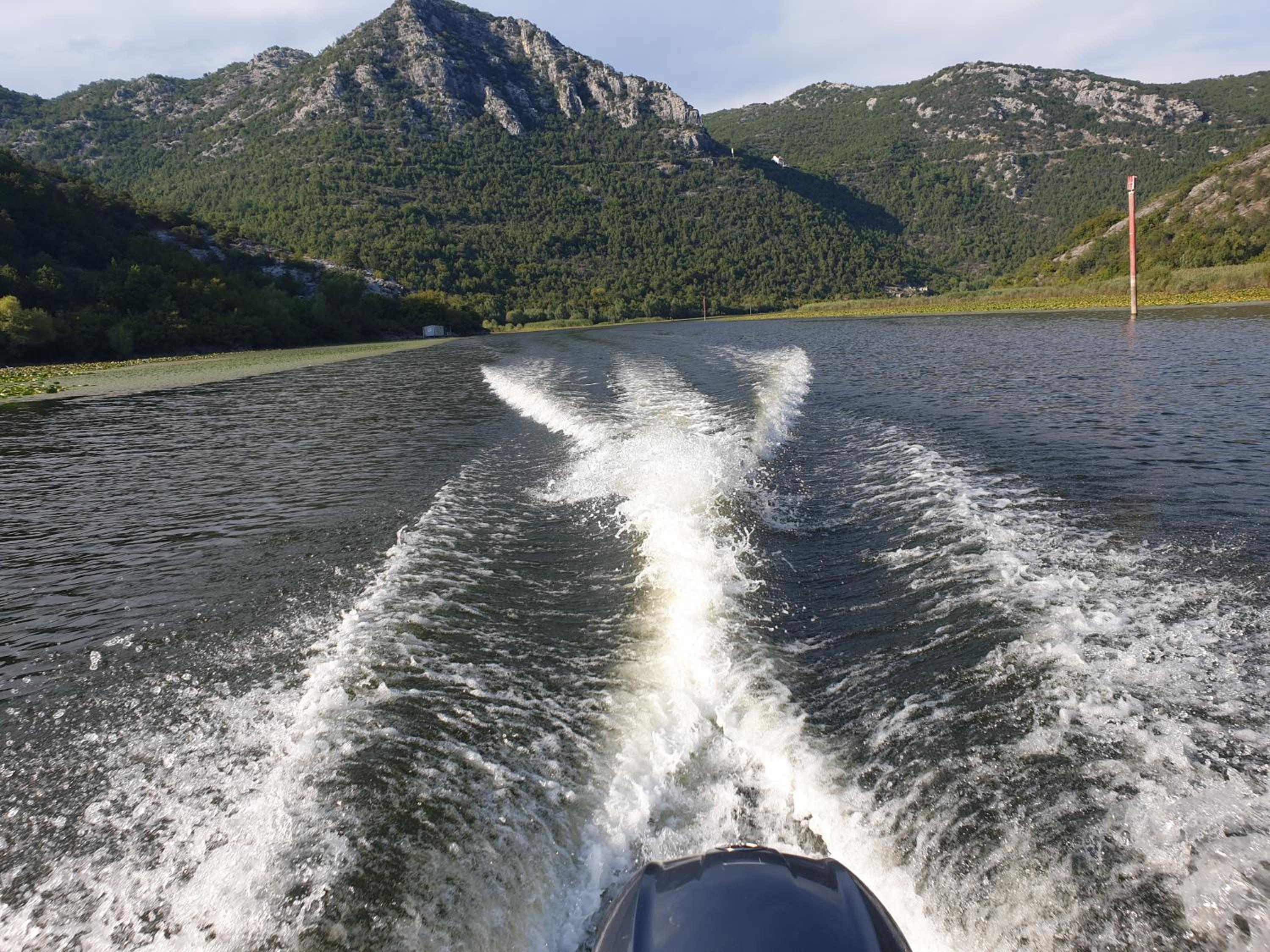 Photo 40