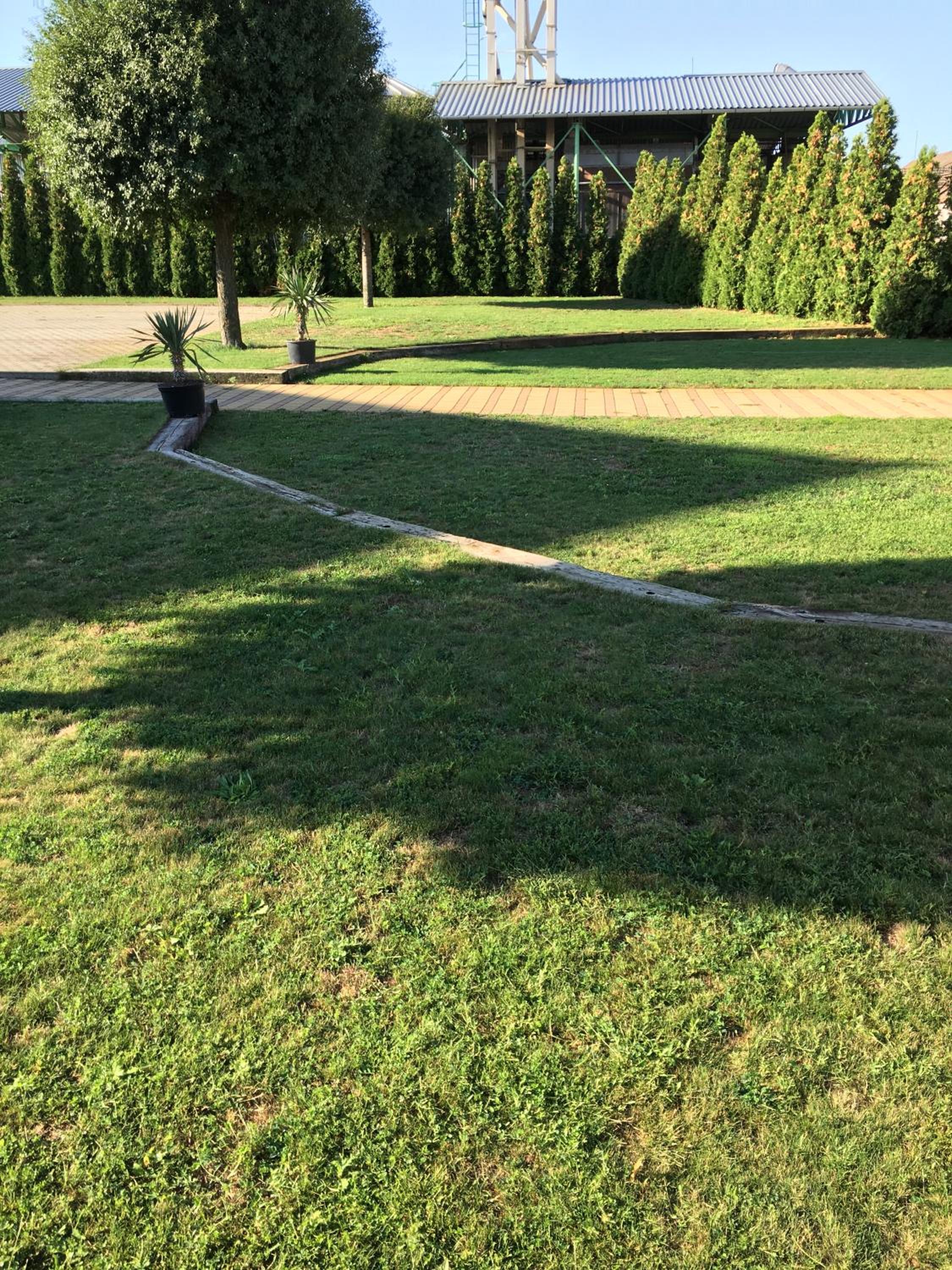 Photo 26