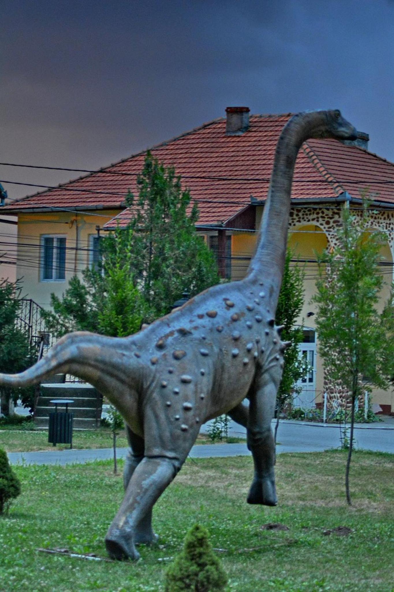 Pensiunea Sălaș