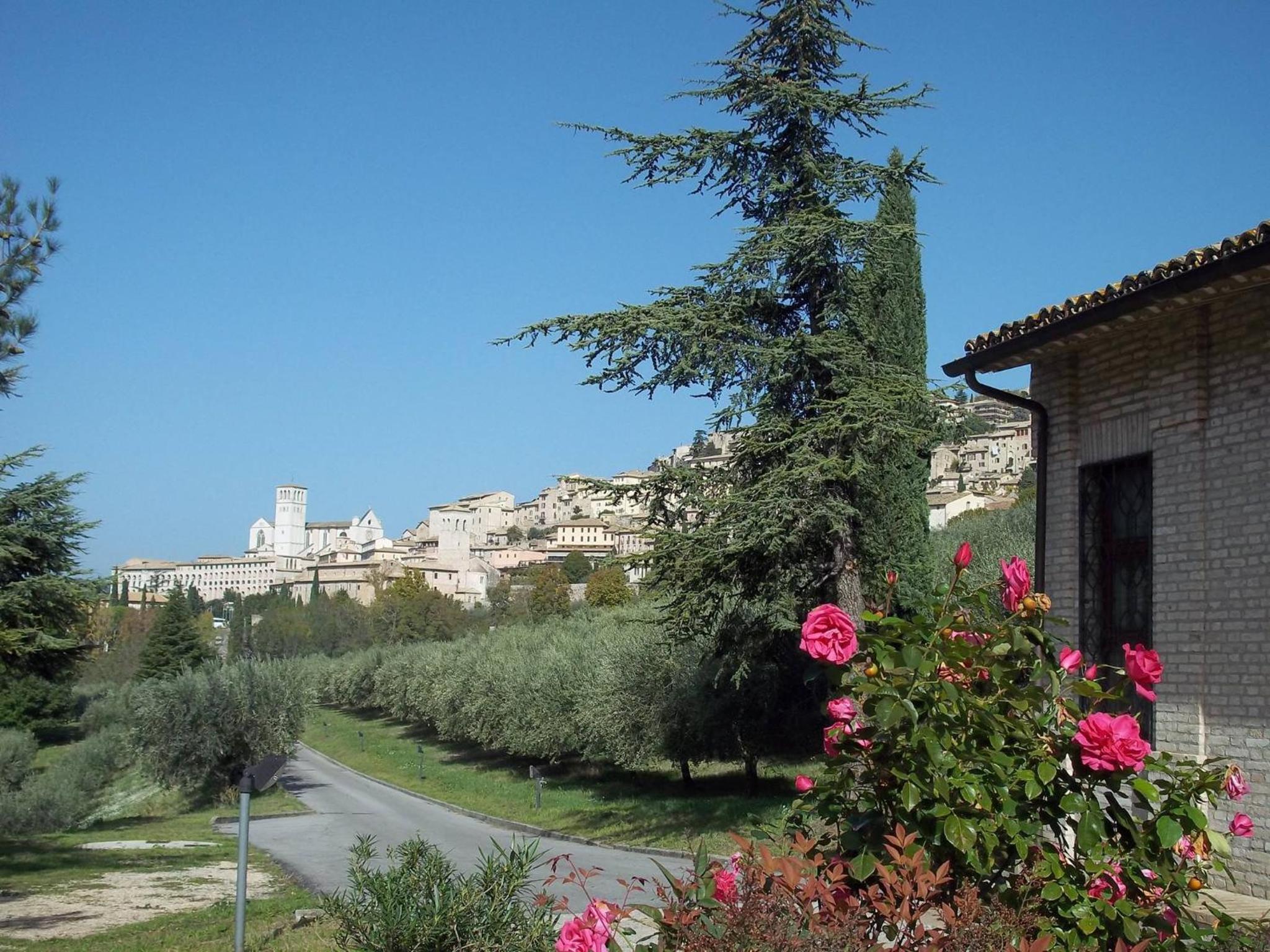 Casa per Ferie Ulivo d'Assisi view 5