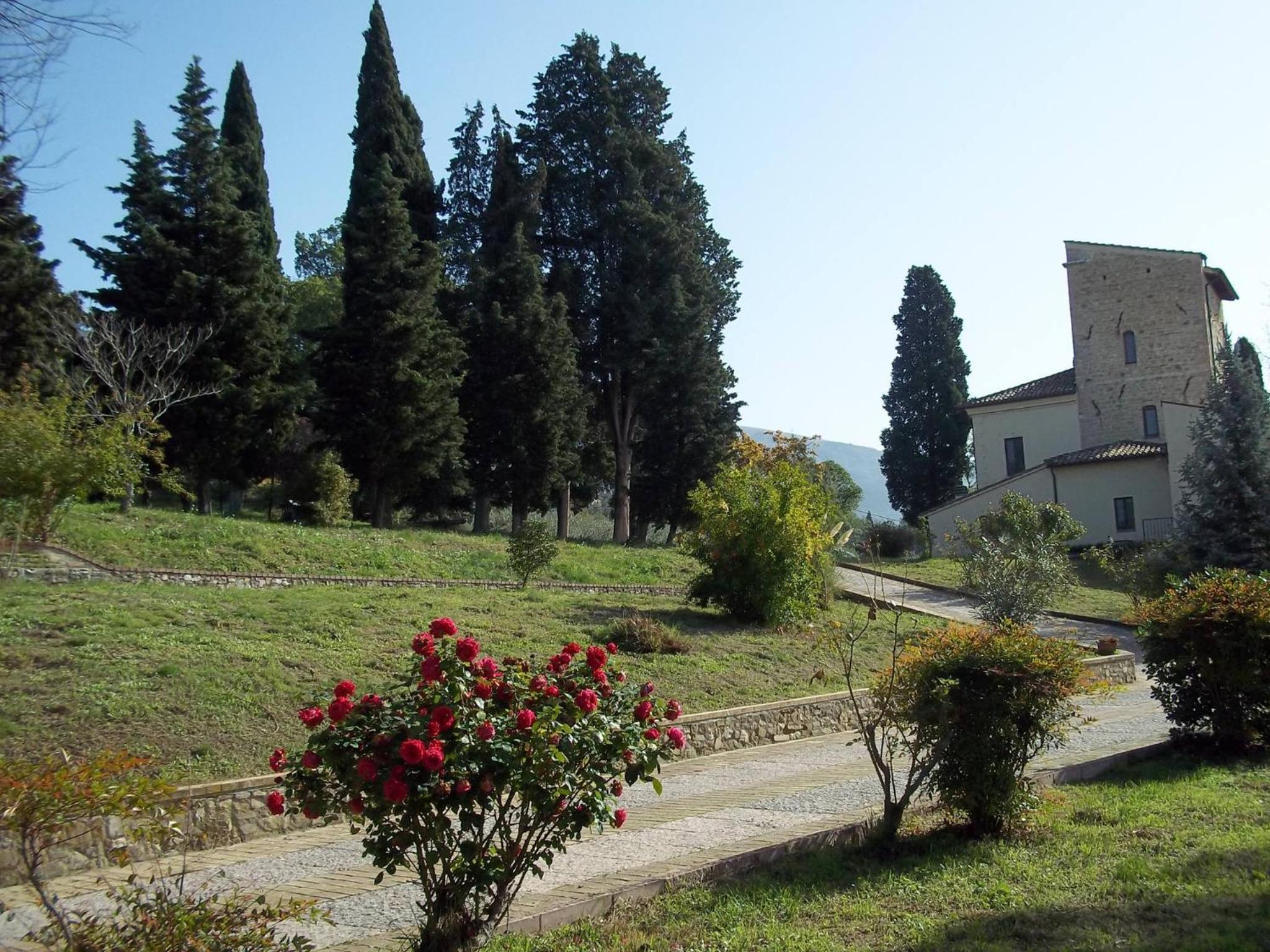 Photo 44