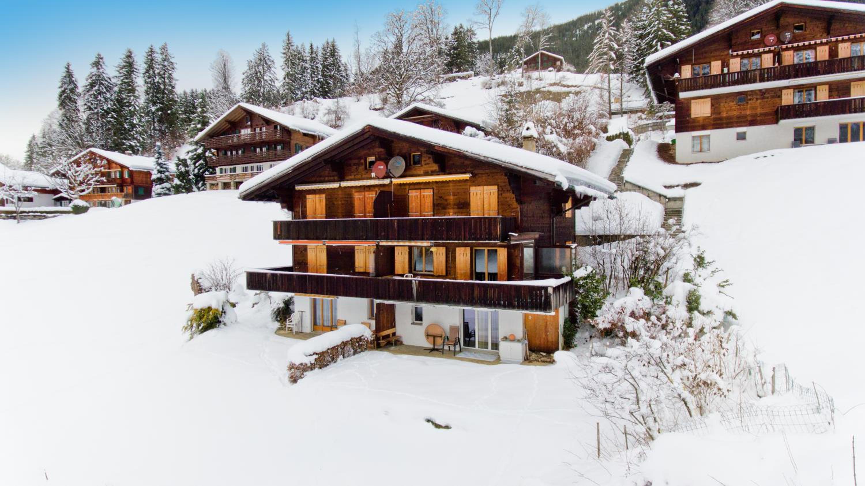Apartment Grindelwaldgletscher - GRIWA RENT AG view 2