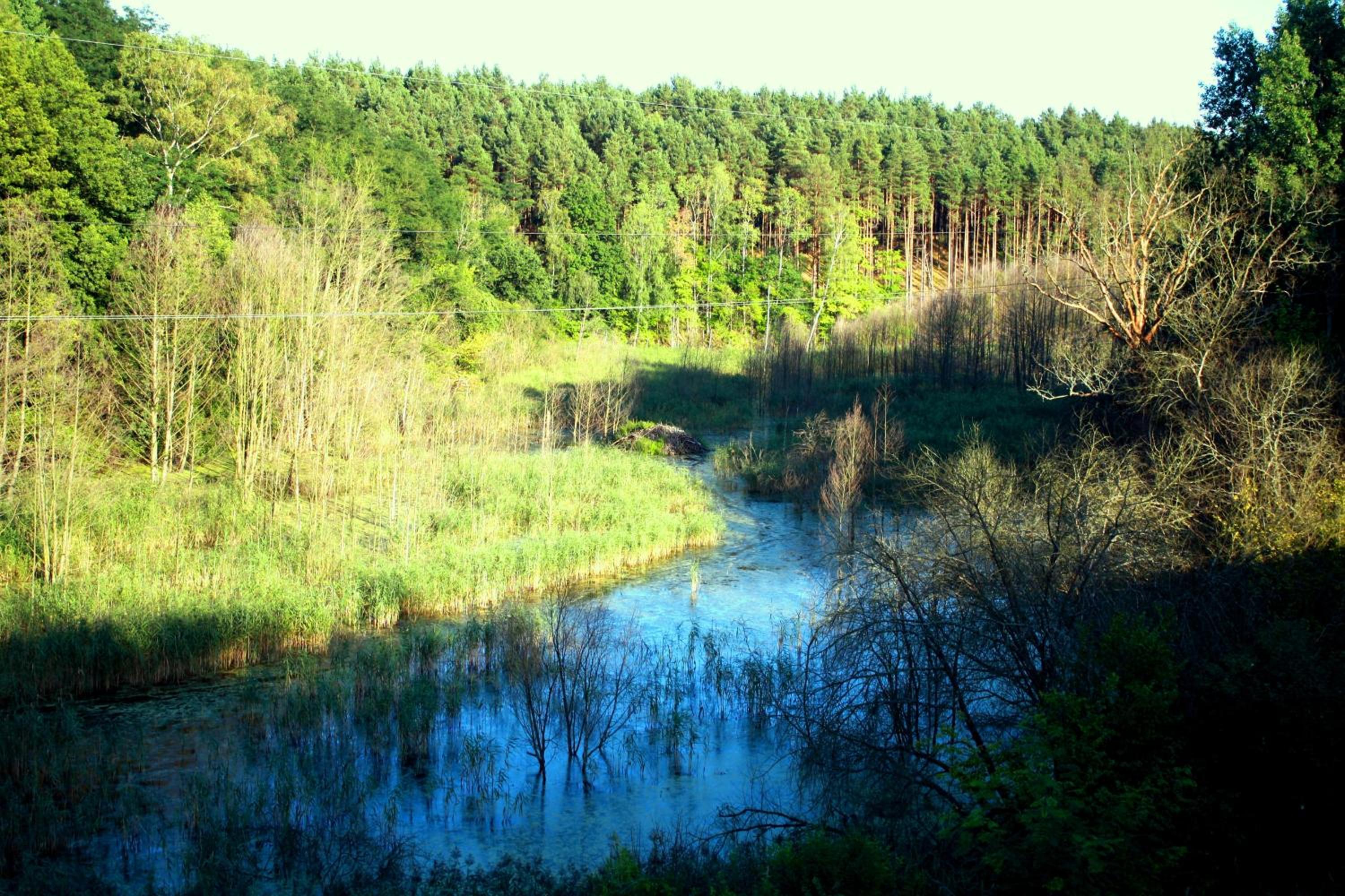 Photo 40