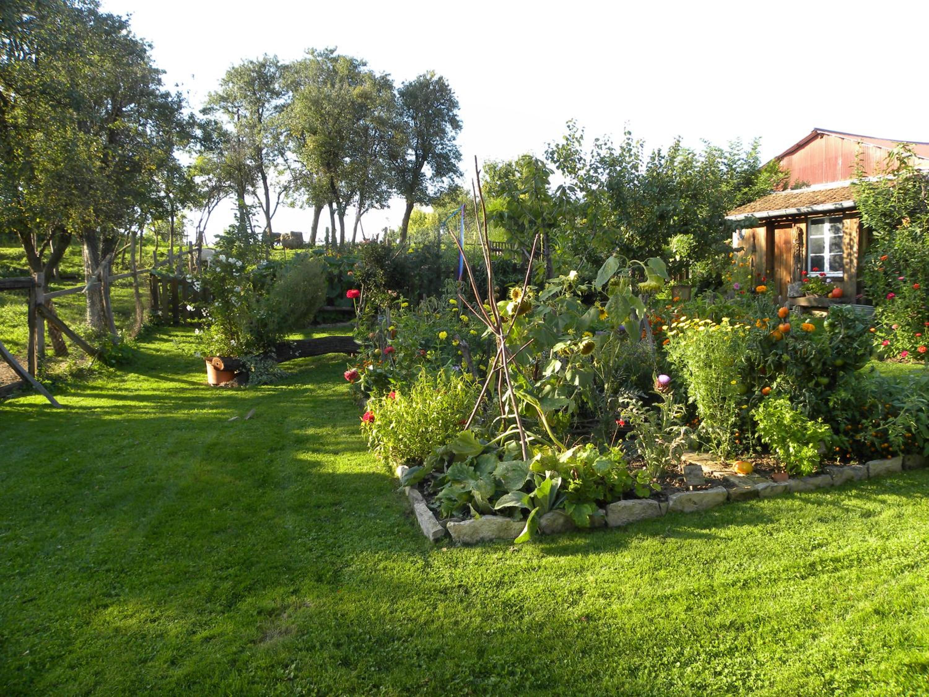 Photo 18