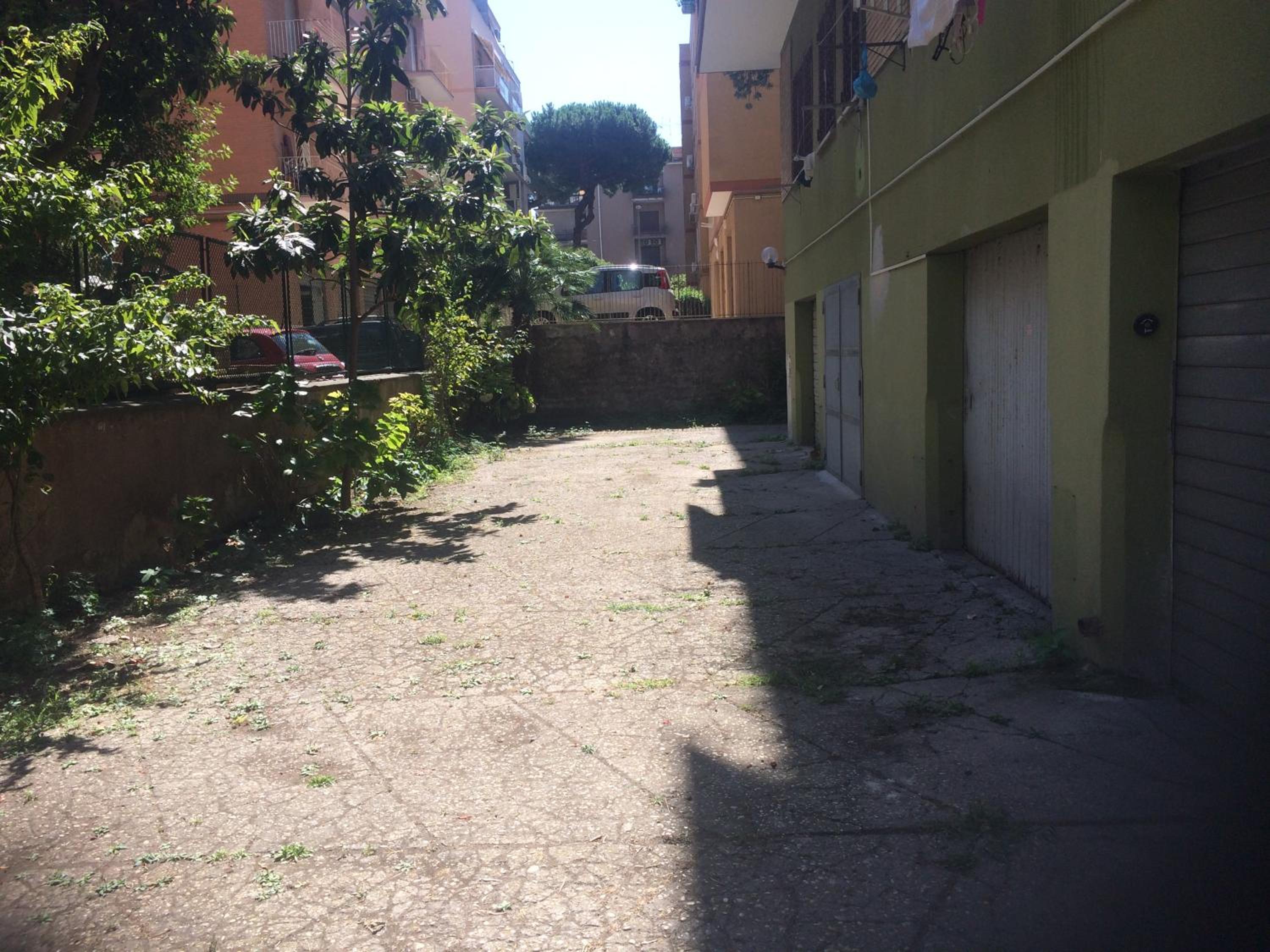 Photo 38