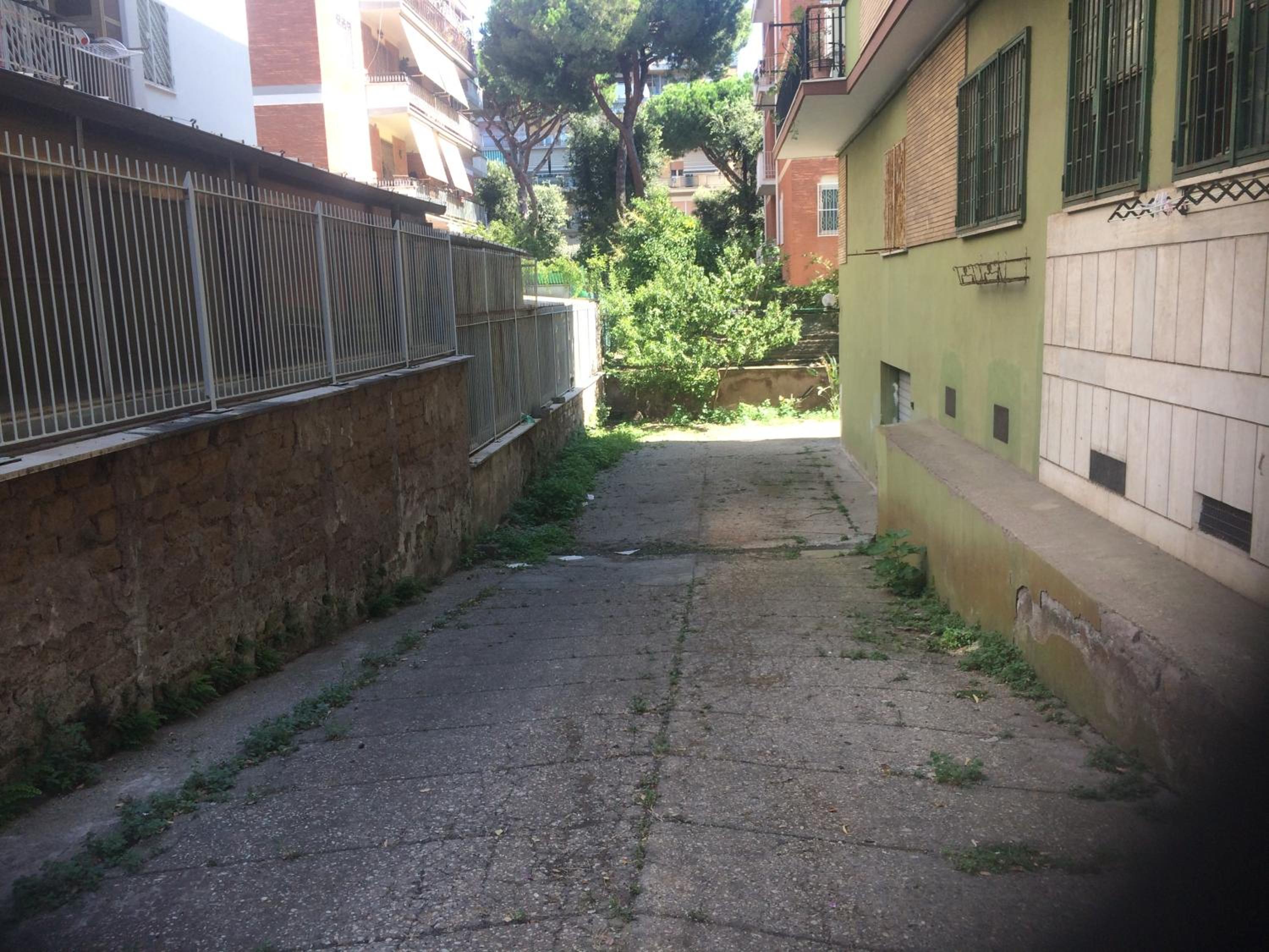 Photo 37