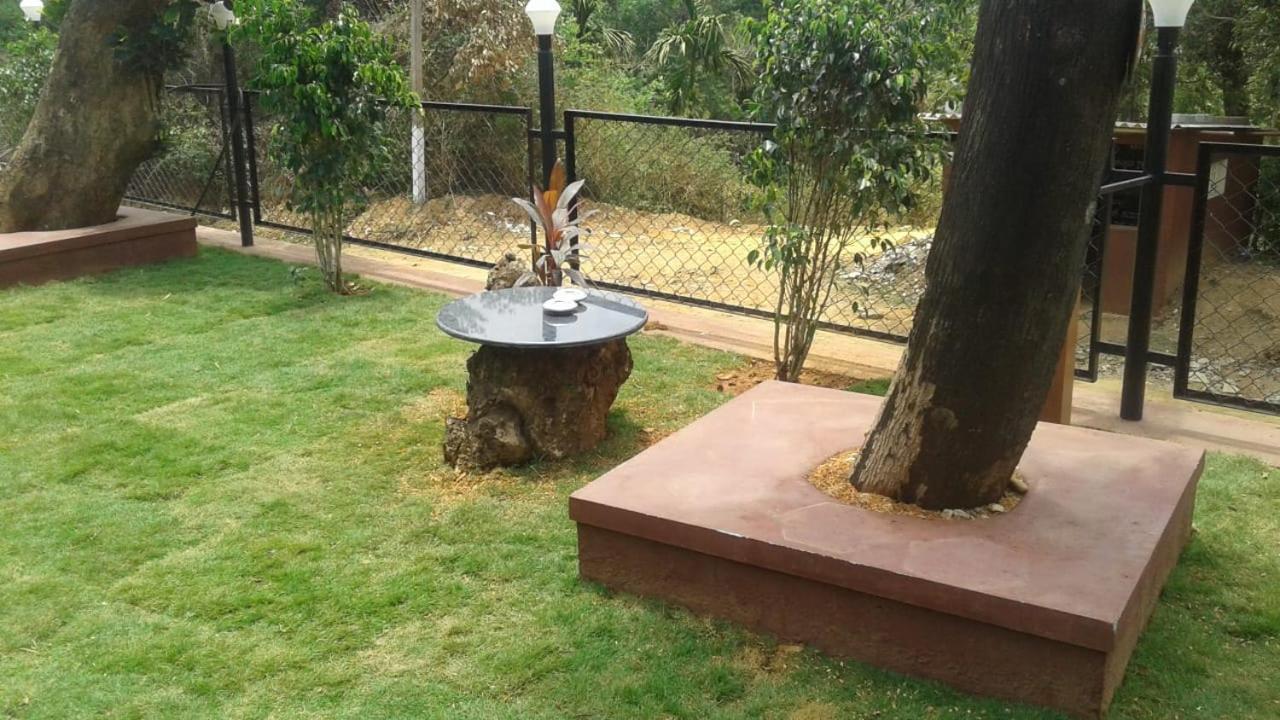 Photo 23