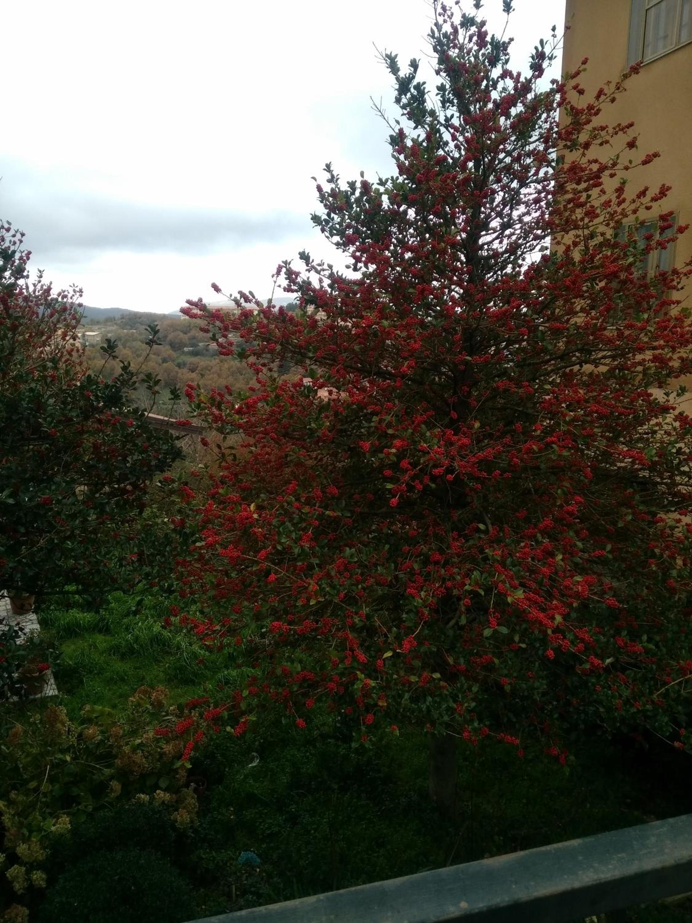 Aritzo appartamento romantico view 3