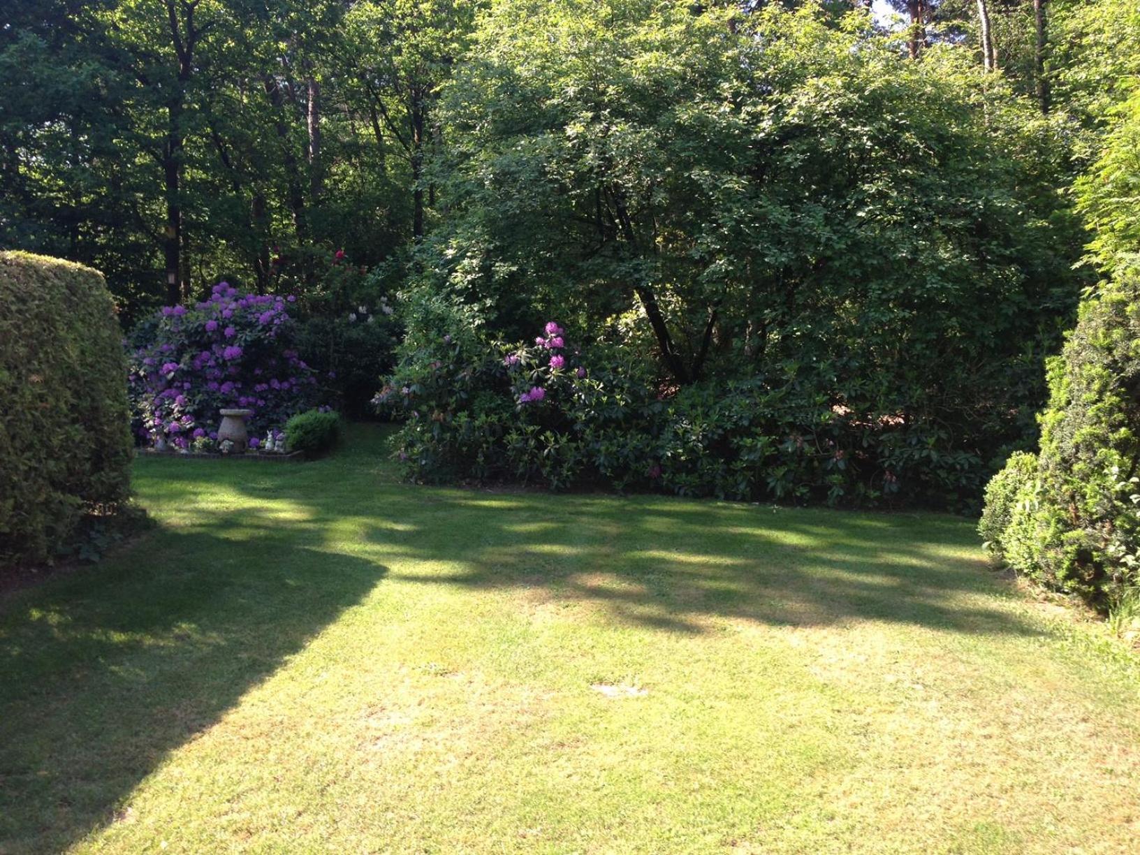 Photo 25