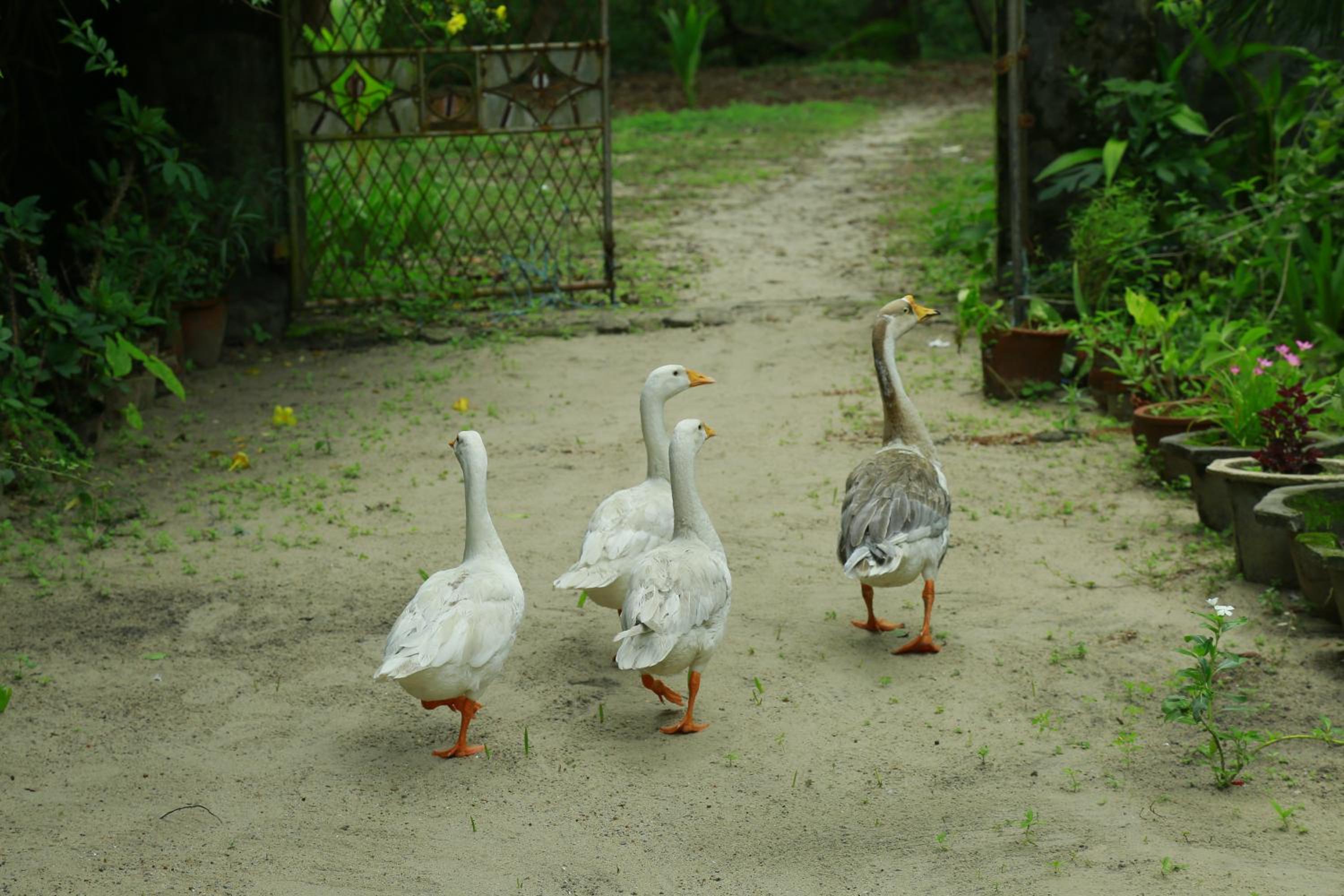 Photo 49