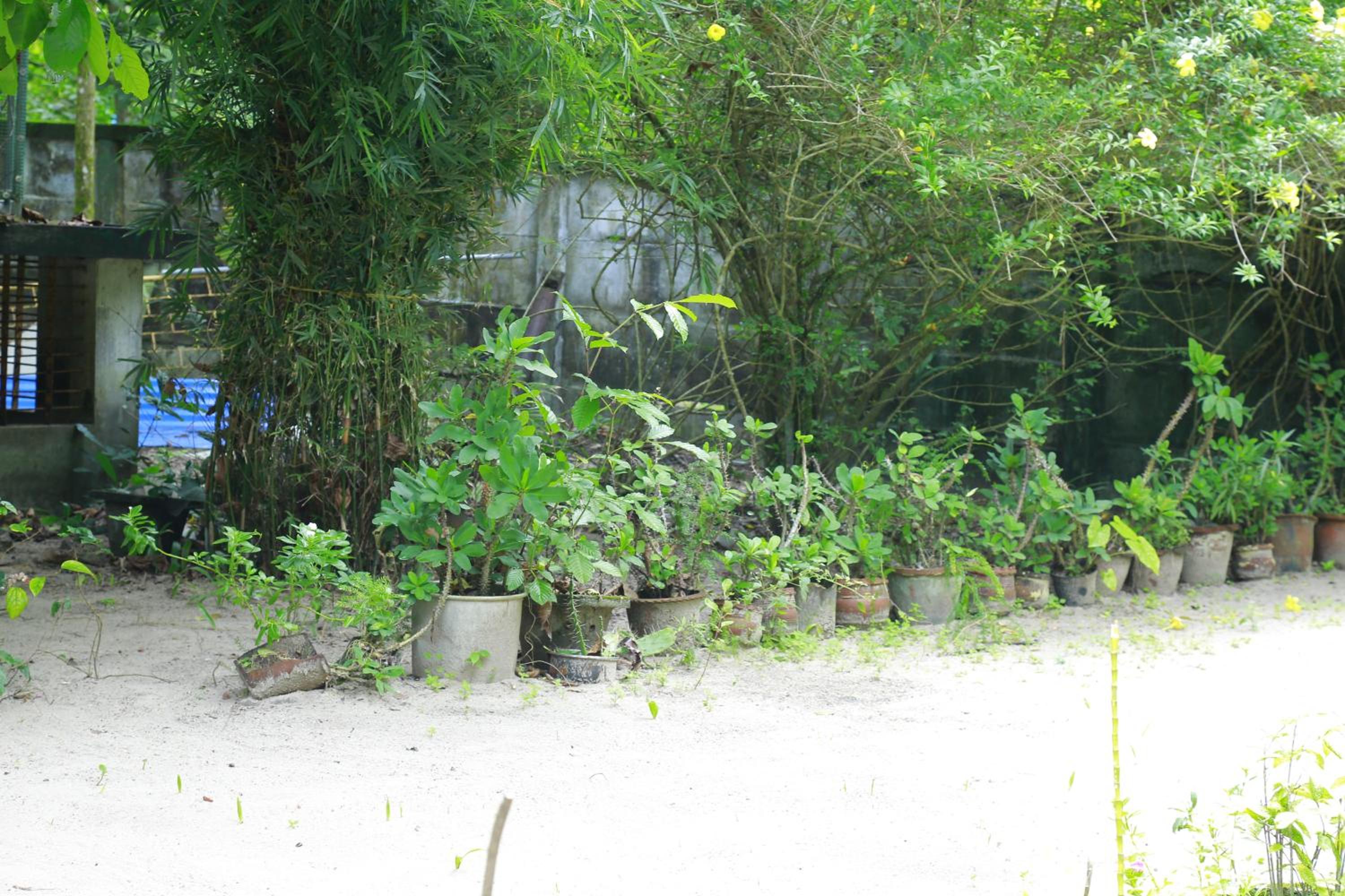 Photo 40