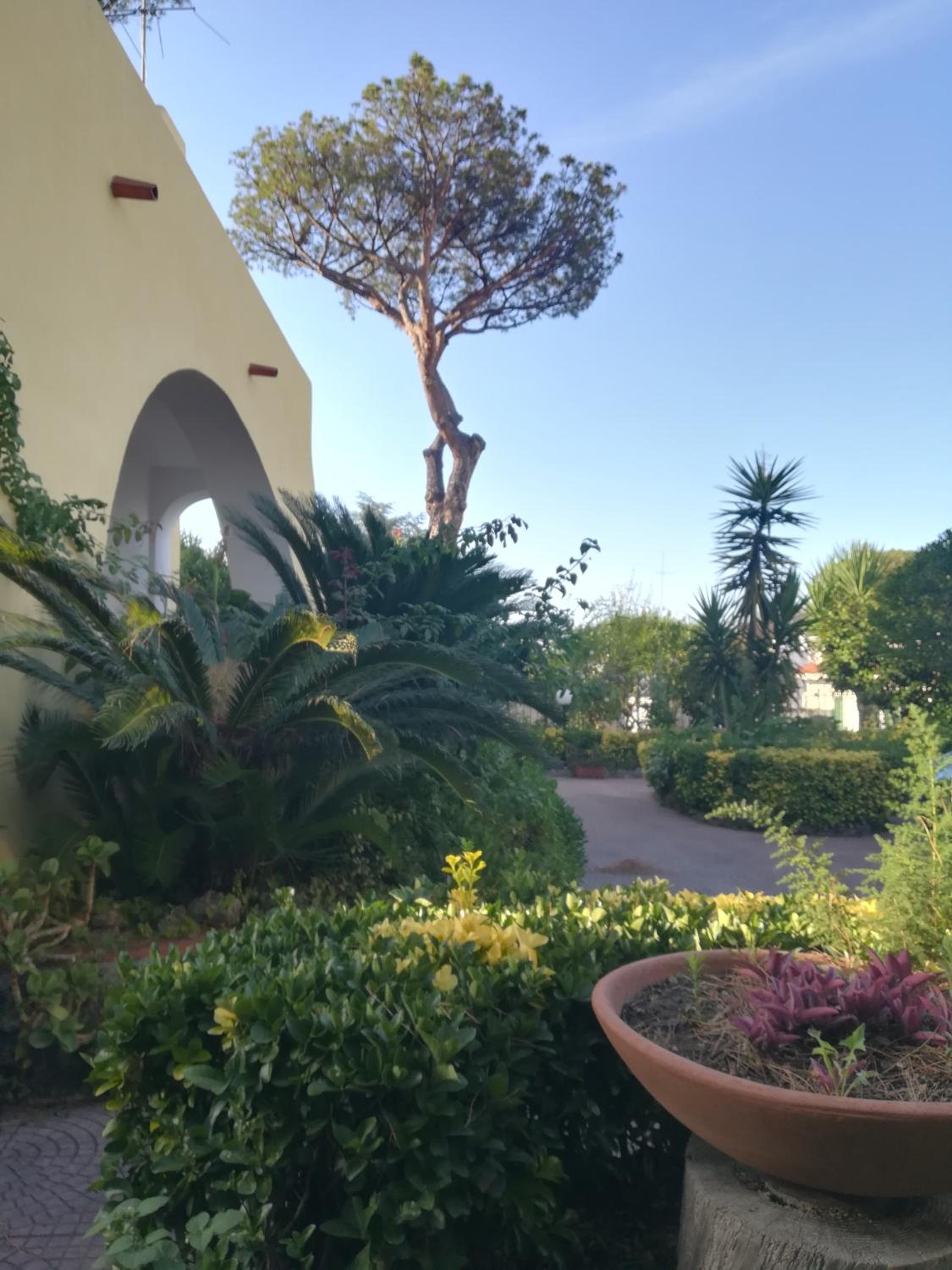 Villa immersa nel verde view 4